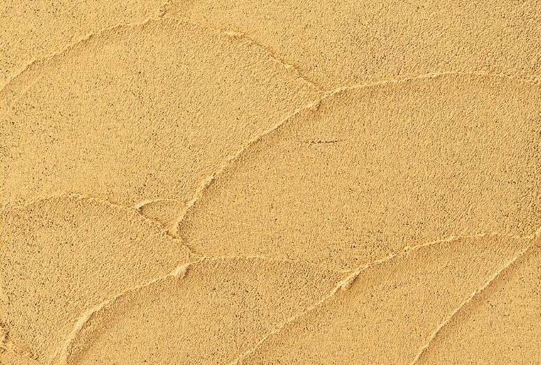 左官仕上げの壁面（ジョリパット）