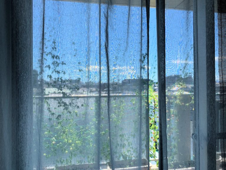 狭小地での駐車場経営形態